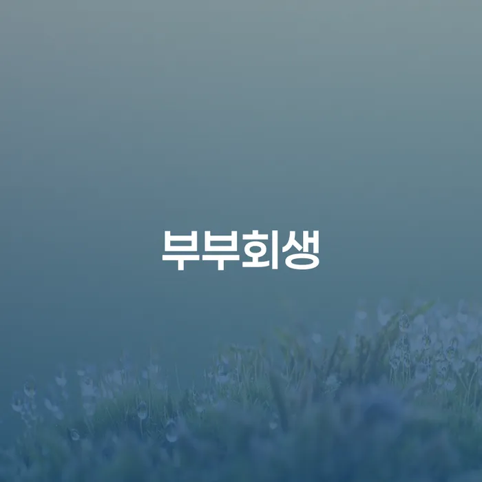 통장압류확인 개인회생,개인파산으로 장점을