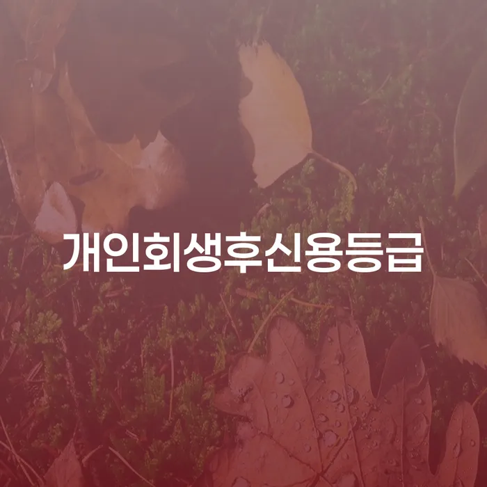 신용카드 연체 5일 개인회생 문제해결방법 관련정보
