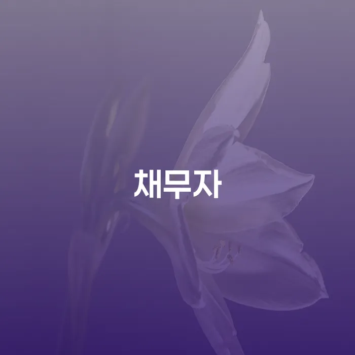 알기쉬운개인회생절차 개인파산 중요 포인트