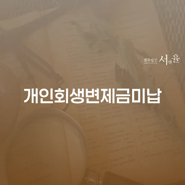 개인회생 변호사 비용 분납 가능하고 빚청산 관련