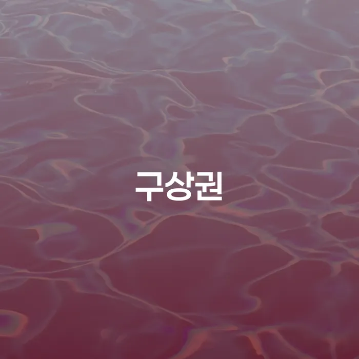 개인회생인가 빚 합법적인 빠른방법 까지