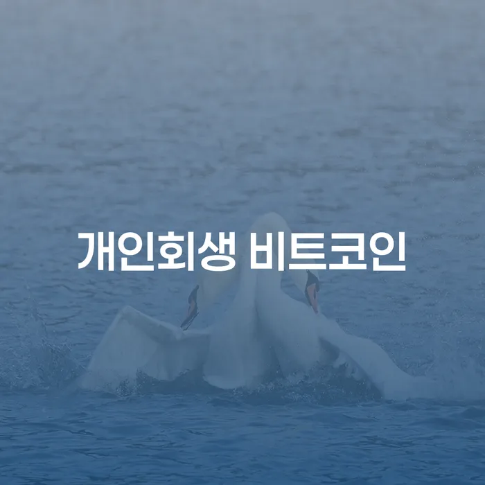 함양군 부채증명원발급 개인회생 제도 어떤걸