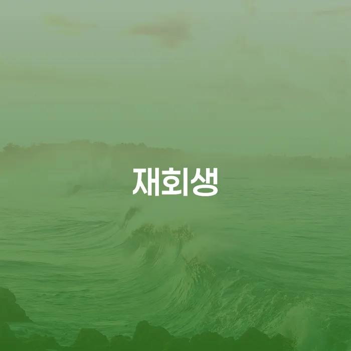 시흥시 개인회생주식 워크아웃 어떤걸