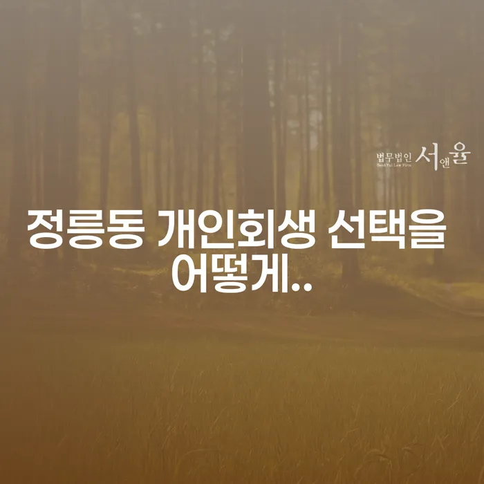 정릉동 개인회생 선택을 어떻게..