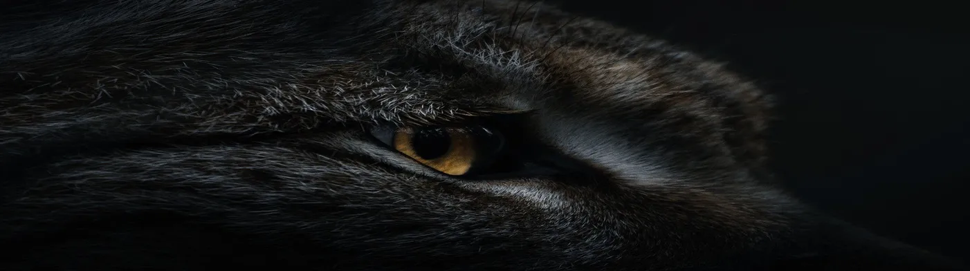 법무법인 서앤율