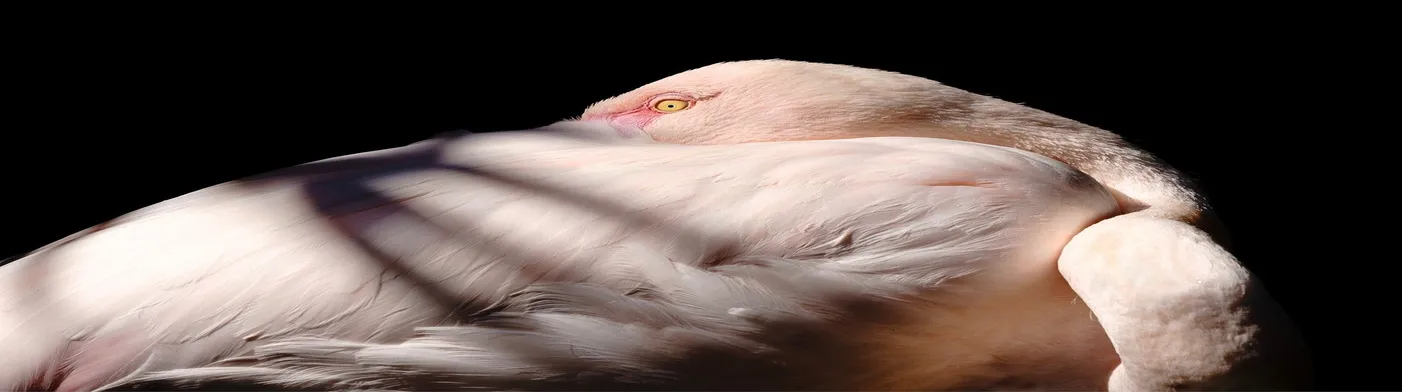 법무법인 서앤율