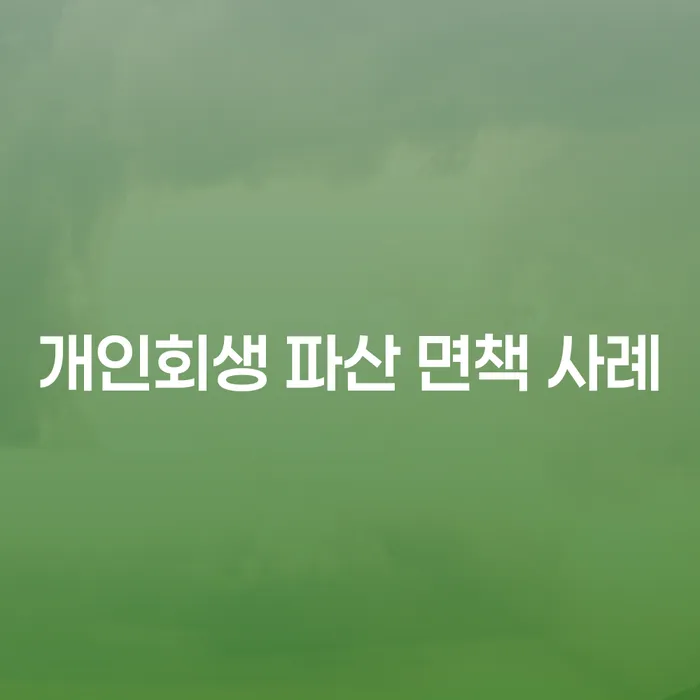 개인회생 파산 면책 사례: 어떻게 빚을 해결할 수 있을까요?