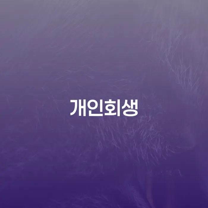 창원시 개인회생 절차와 성공 사례를 통한 새로운 시작