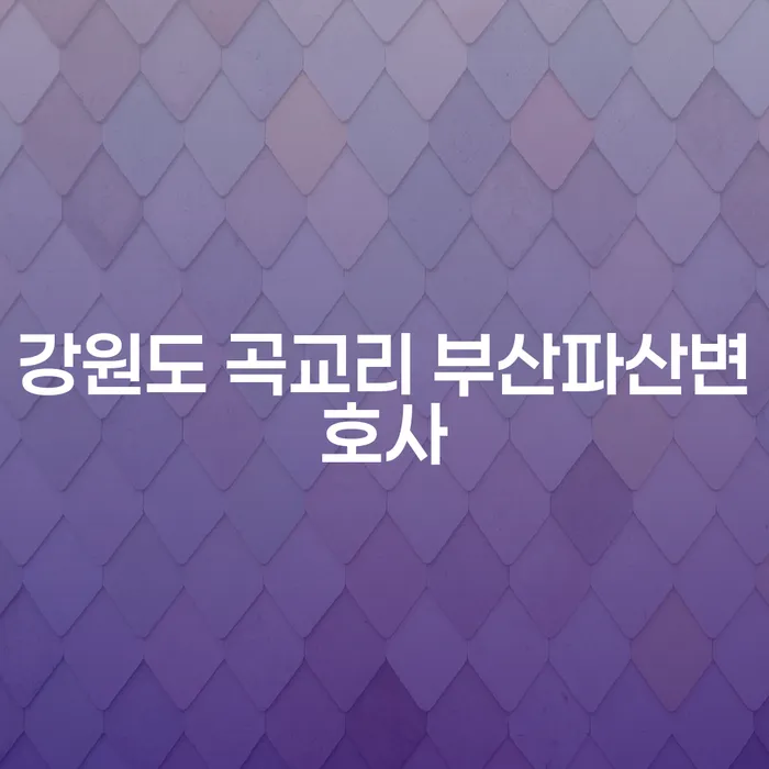 강원도 곡교리에서 부산파산변호사를 찾는 방법은?